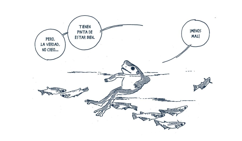 Una ranita en otoño | Errata Naturae